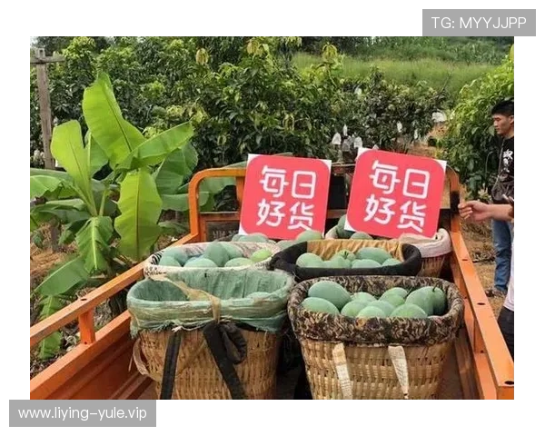 极速百家乐最新优惠活动,丰富奖励助力玩家轻松实现快速盈利梦想 极速百家乐最新优惠活动,丰富奖励助力玩家轻松实现快速盈利梦想